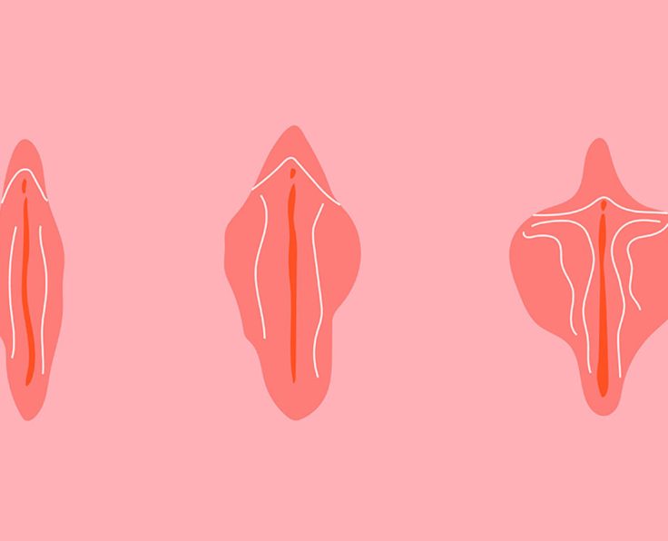 genital-estetik genital-estetik